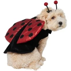 Frisco Glittered Ladybug Dog & Cat Costume 14 Frisco Glittered Ladybug Dog & Cat Costume -Dog Supplies Store 708254 PT3. AC SS1800 V1689350986