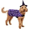Frisco Cosmic Witch Dog & Cat Costume -Dog Supplies Store 708982 MAIN. AC SS1800 V1689282565
