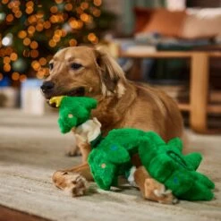 Frisco Holiday Elf In A Tree Bungee Plush Squeaky Dog Toy -Dog Supplies Store 739846 PT3. AC SS1800 V1695047600