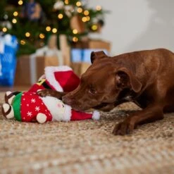 Frisco Holiday Santa On Vacation 2-in-1 Plush Squeaky Dog Toy 11 Frisco Holiday Santa On Vacation 2-in-1 Plush Squeaky Dog Toy -Dog Supplies Store 739894 PT3. AC SS1800 V1695045718