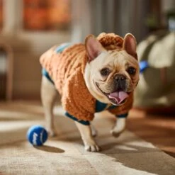 Frisco Wubby Textured Fleece Dog & Cat Hoodie W/ Pocket 18 Frisco Wubby Textured Fleece Dog & Cat Hoodie W/ Pocket -Dog Supplies Store 742510 PT7. AC SS1800 V1692377765