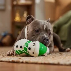 Frisco Holiday Snowman Latex Squeaky Dog Toy 9 Frisco Holiday Snowman Latex Squeaky Dog Toy -Dog Supplies Store 773870 PT3. AC SS1800 V1695044328