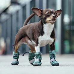 Canada Pooch Soft Shield Dog Boots -Dog Supplies Store 803006 PT4. AC SS1800 V1682088022