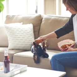 Frisco Corndog Interactive Plush Squeaky Dog Toy & Frisco Guacamole Hide & Seek Puzzle Plush Squeaky Dog Toy 14 Frisco Corndog Interactive Plush Squeaky Dog Toy & Frisco Guacamole Hide & Seek Puzzle Plush Squeaky Dog Toy -Dog Supplies Store 962086 PT3. AC SS1800 V1694782979