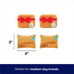 Frisco Holiday Hot Cocoa Hide & Seek Puzzle Plush Squeaky Dog Toy & Frisco Holiday North Pole Mailbox Hide & Seek Puzzle Plush Squeaky Dog Toy -Dog Supplies Store 986166 PT7. AC SS1800 V1698258463