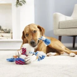 Frisco Holiday Snowman Plush With Rope Squeaky Dog Toy & Frisco Holiday Reindeer Plush With Rope Squeaky Dog Toy 15 Frisco Holiday Snowman Plush With Rope Squeaky Dog Toy & Frisco Holiday Reindeer Plush With Rope Squeaky Dog Toy -Dog Supplies Store 986174 PT4. AC SS1800 V1698258345