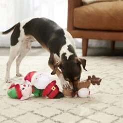 Frisco Holiday Santa's Helpers Plush Squeaky Dog Toy, 3 Count & Frisco Holiday Lights Plush With Rope Squeaky Dog Toy 13 Frisco Holiday Santa's Helpers Plush Squeaky Dog Toy, 3 Count & Frisco Holiday Lights Plush With Rope Squeaky Dog Toy -Dog Supplies Store 986206 PT4. AC SS1800 V1698257788